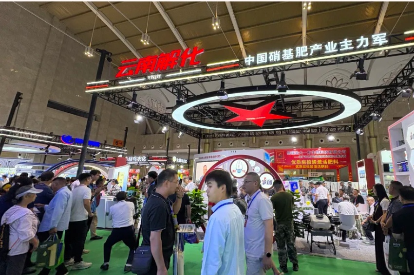 香港马料正版资料