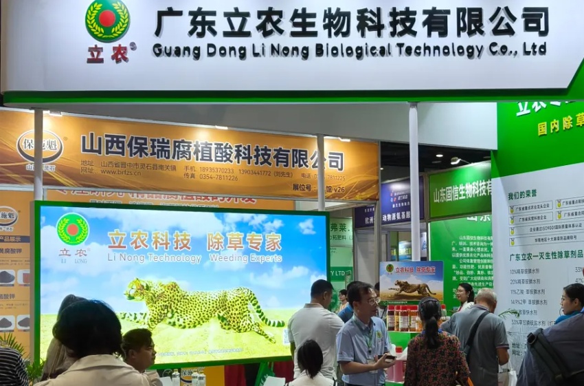 香港马料正版资料