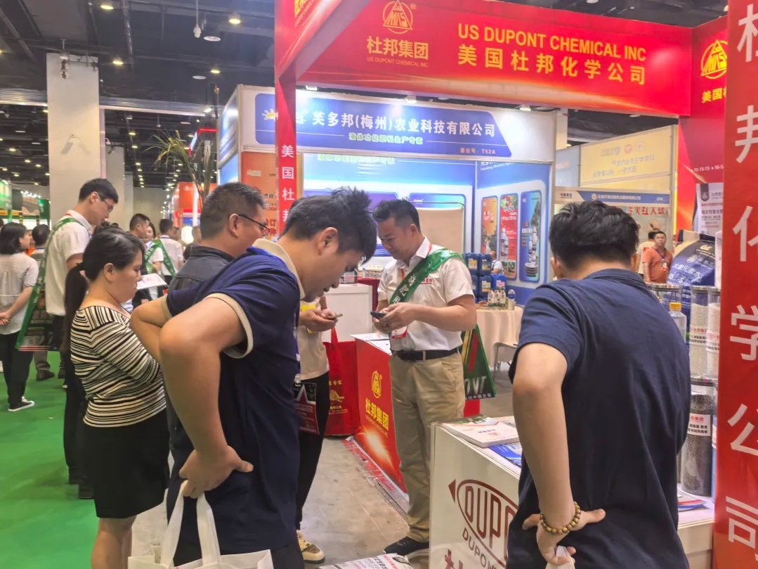 香港马料正版资料