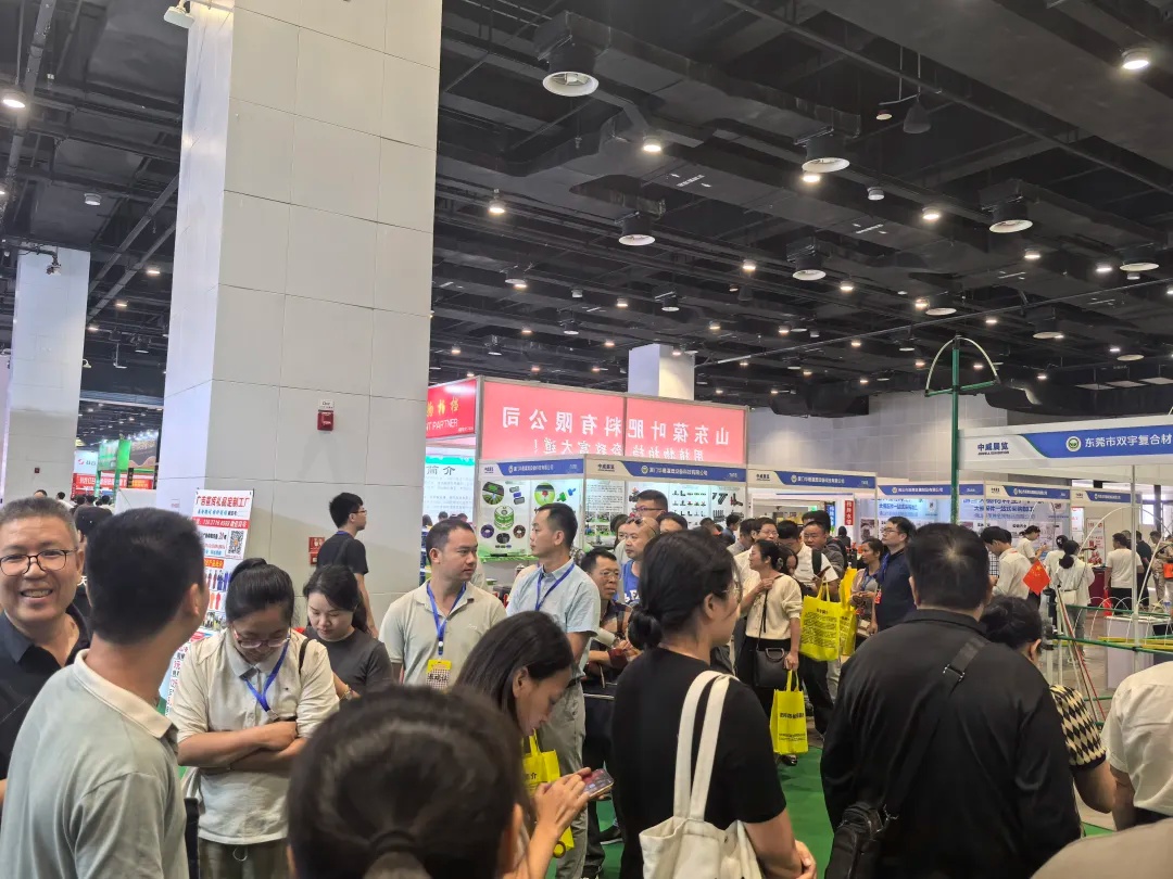 香港马料正版资料