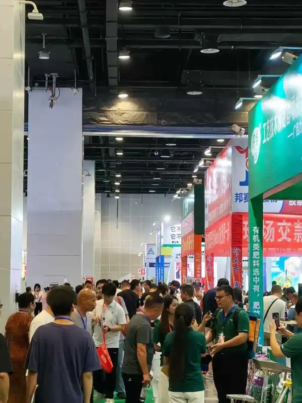 香港马料正版资料