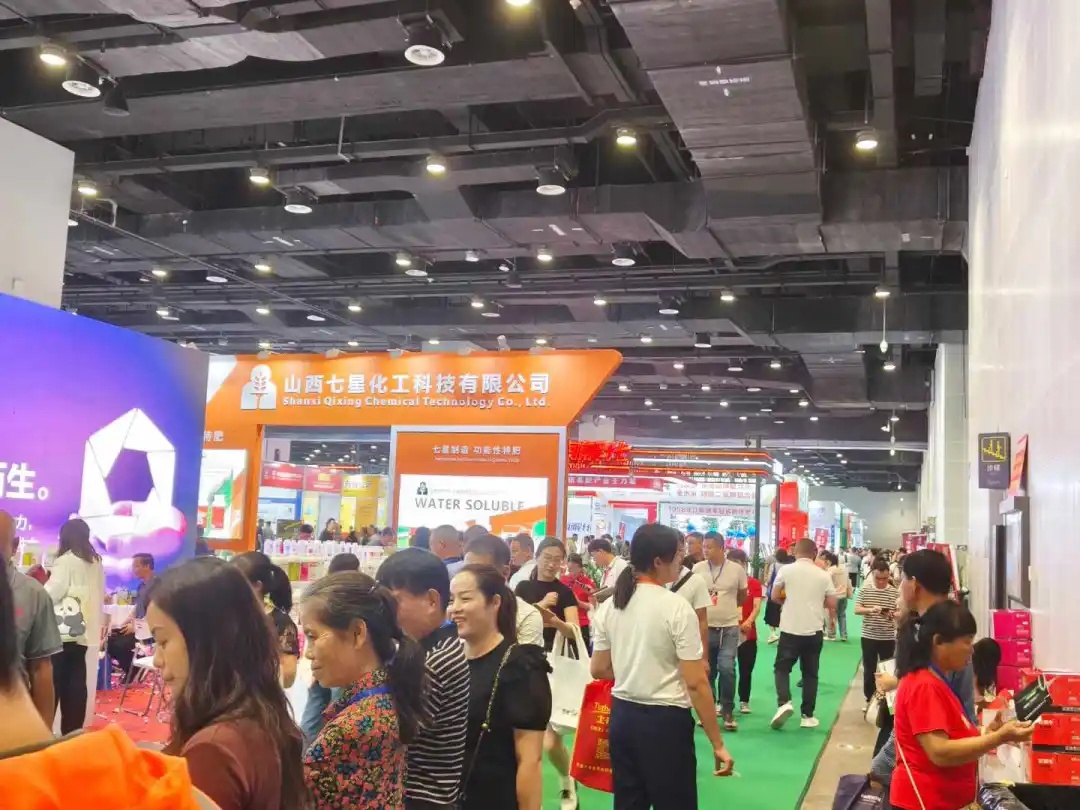 香港马料正版资料