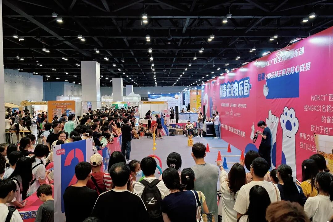 香港马料正版资料