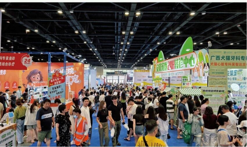 香港马料正版资料