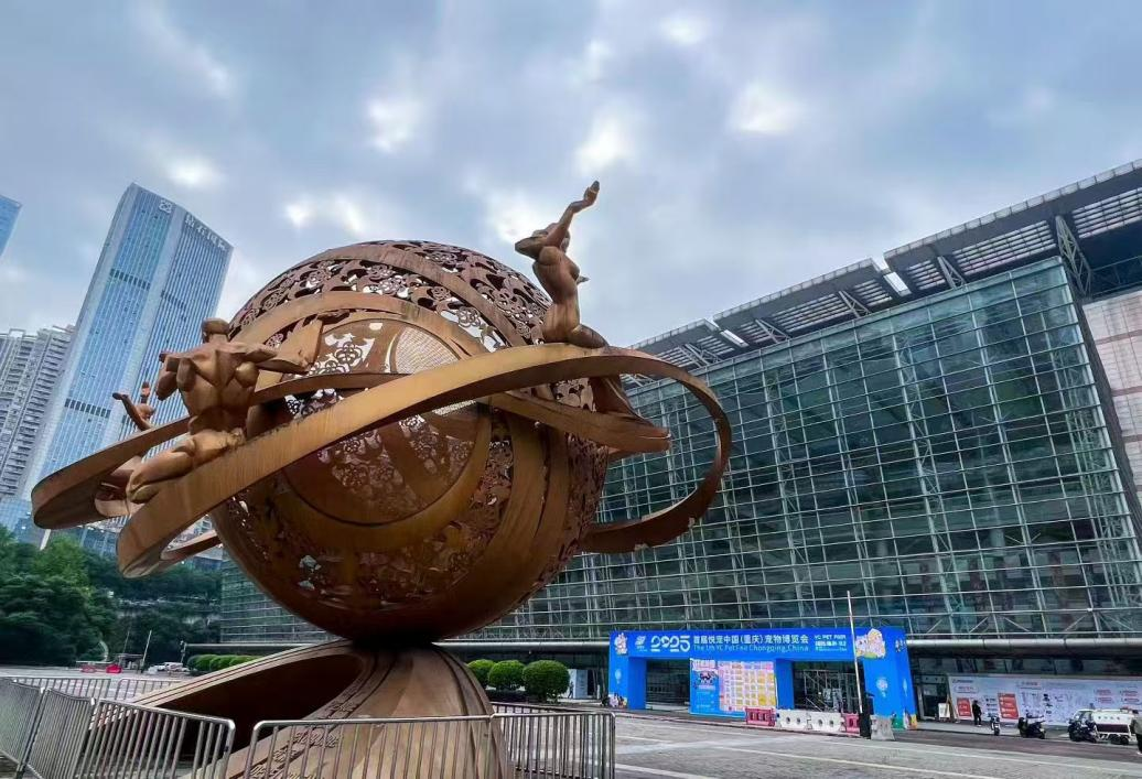 香港马料正版资料