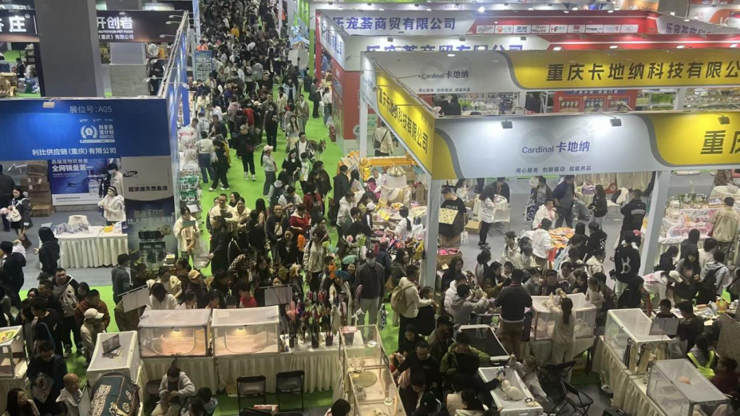 香港马料正版资料