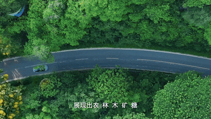 香港马料正版资料