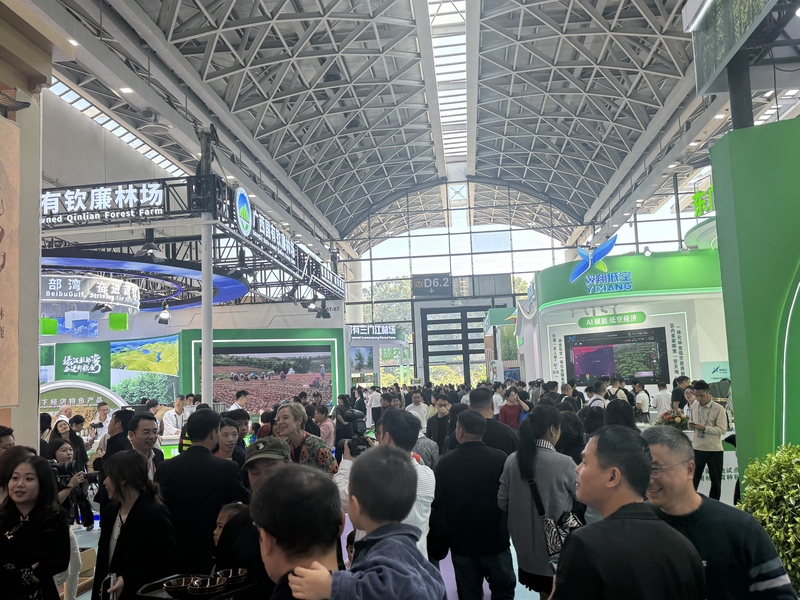 香港马料正版资料