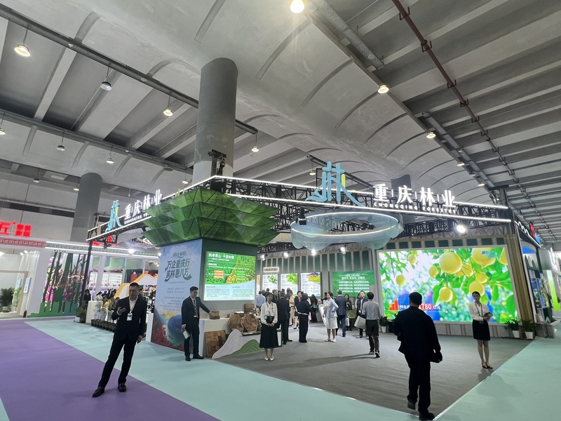 香港马料正版资料