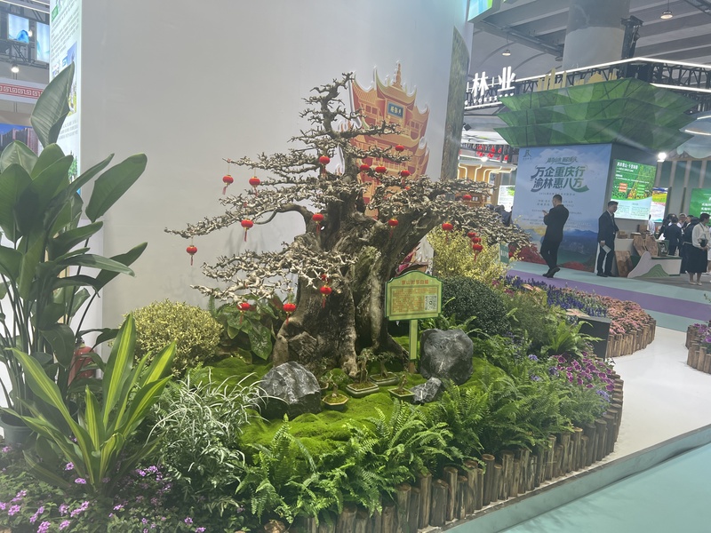 香港马料正版资料