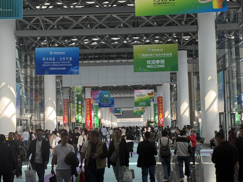 香港马料正版资料