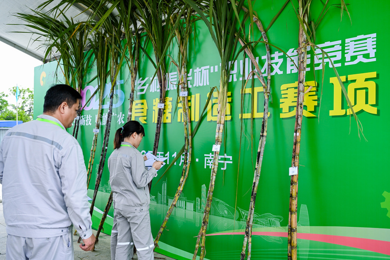 香港马料正版资料