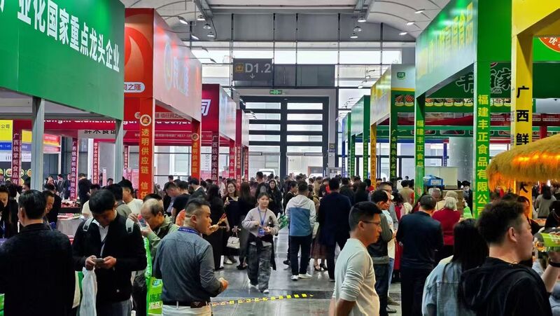 香港马料正版资料